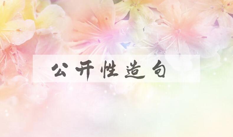 用公开性造句