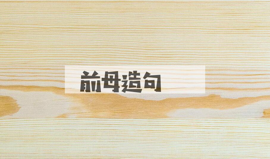 用前母造句
