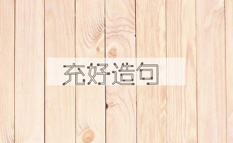 用充好造句
