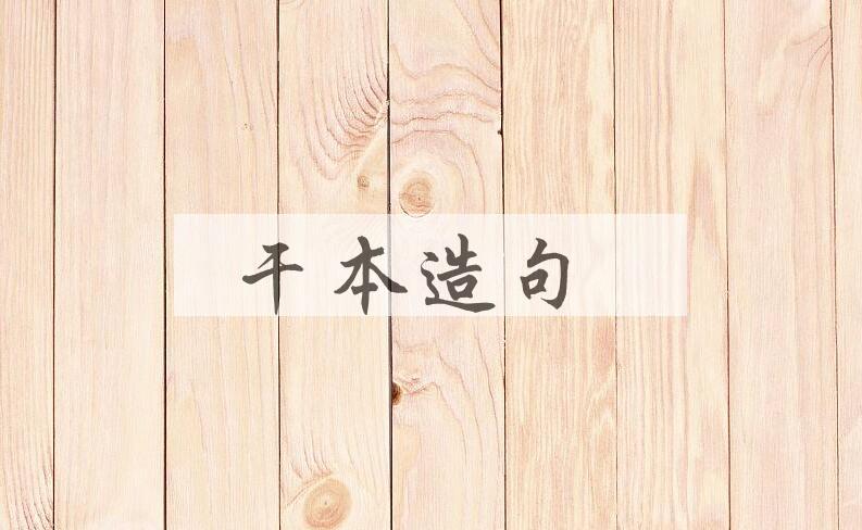 用干本造句