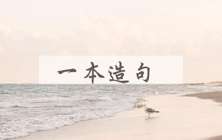 用一本造句