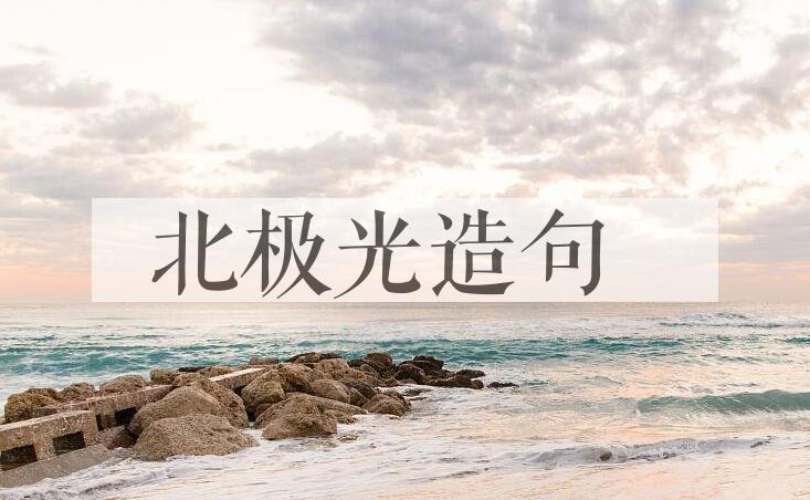 用北极光造句