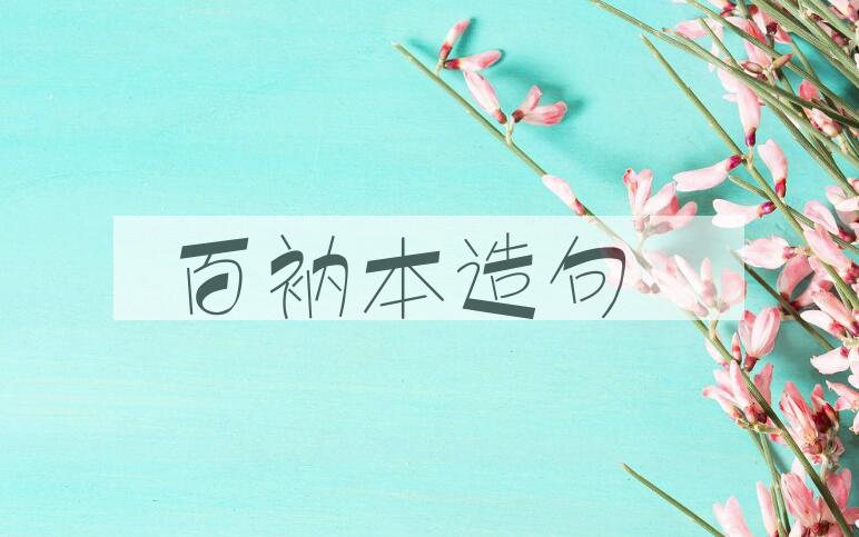 用百衲本造句