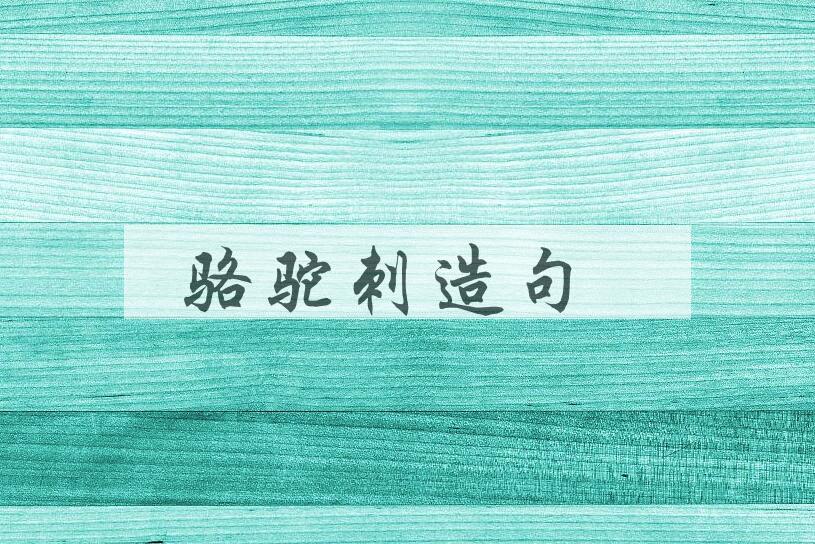 用骆驼刺造句