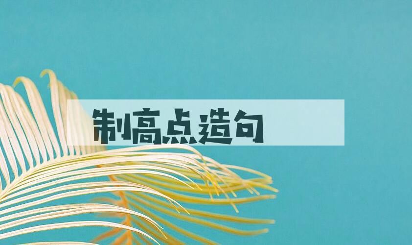 用制高点造句