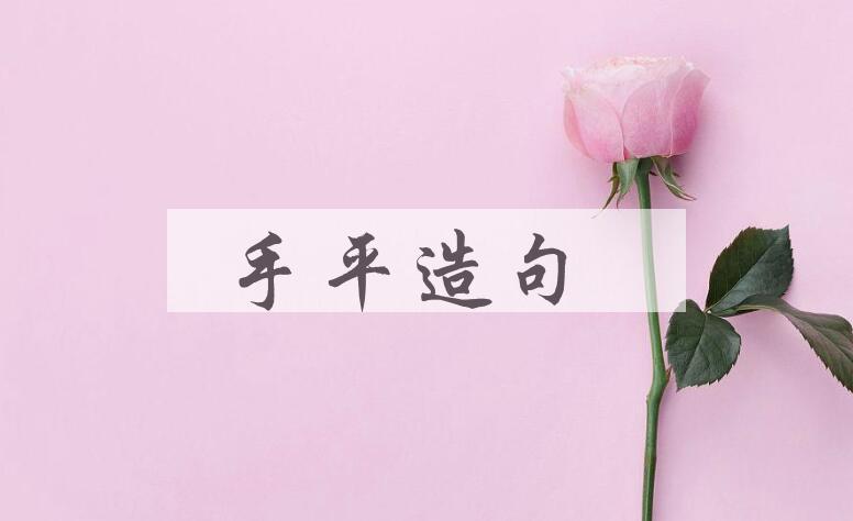 用手平造句