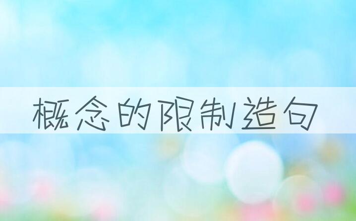 用概念的限制造句