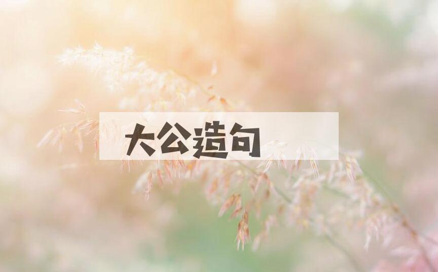 用大公造句