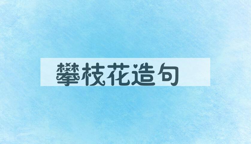 用攀枝花造句