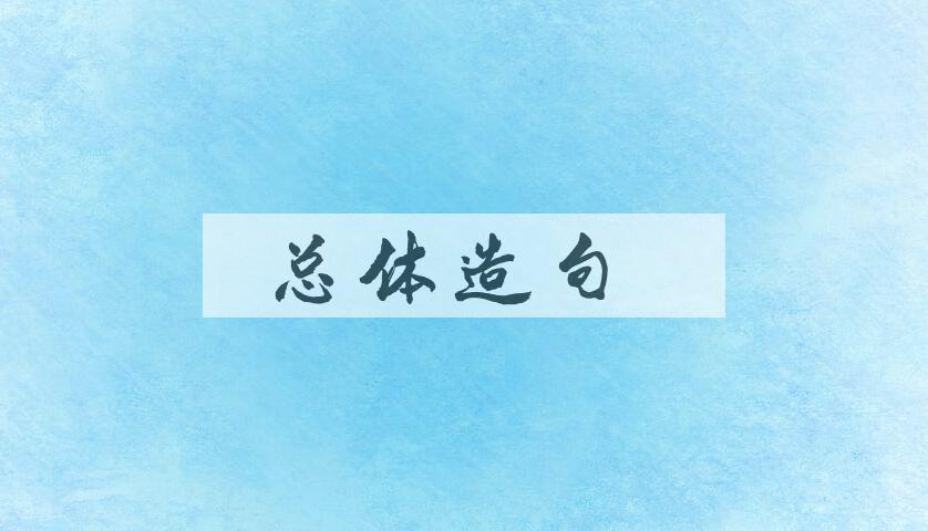 用总体造句