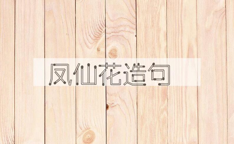 用凤仙花造句