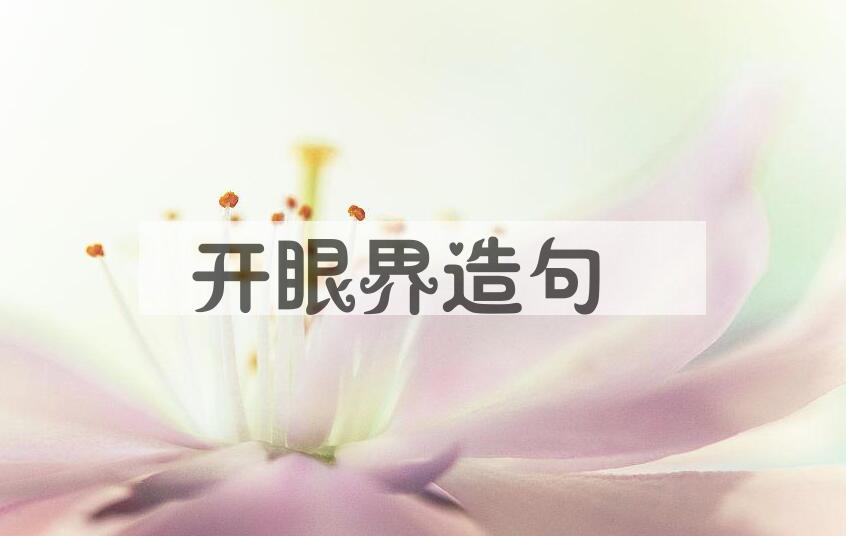 用开眼界造句