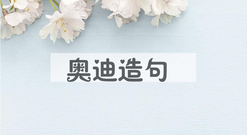 用奥迪造句