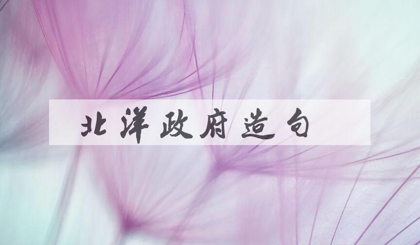 用北洋政府造句