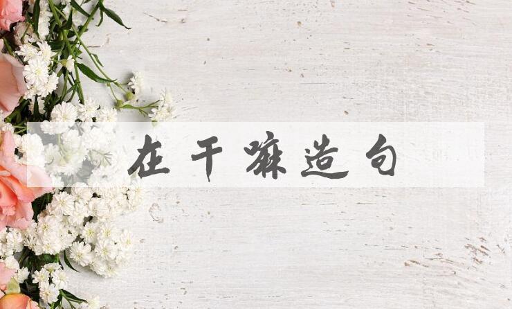 用你在干嘛造句