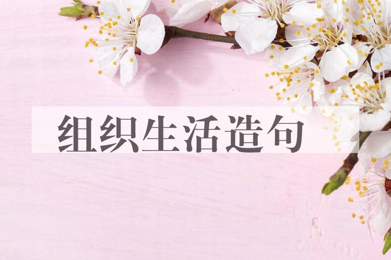 用组织生活造句