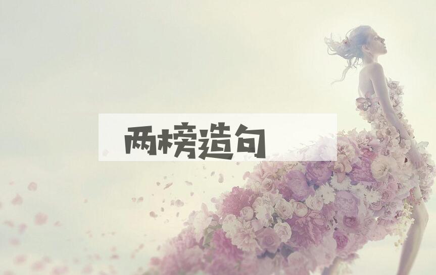 用两榜造句