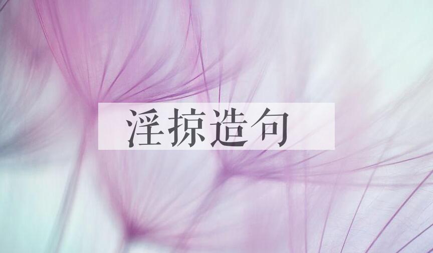 用淫掠造句