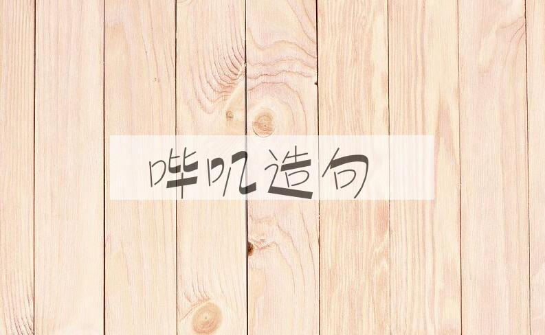 用哔叽造句