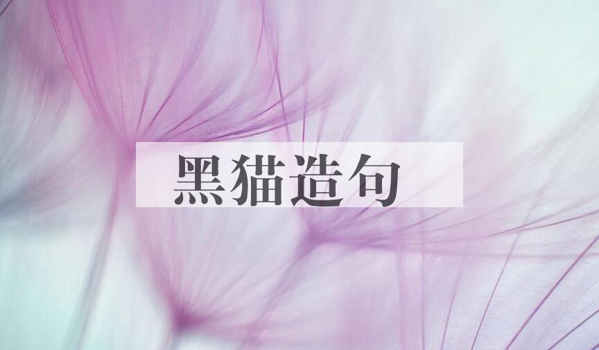 用黑猫造句