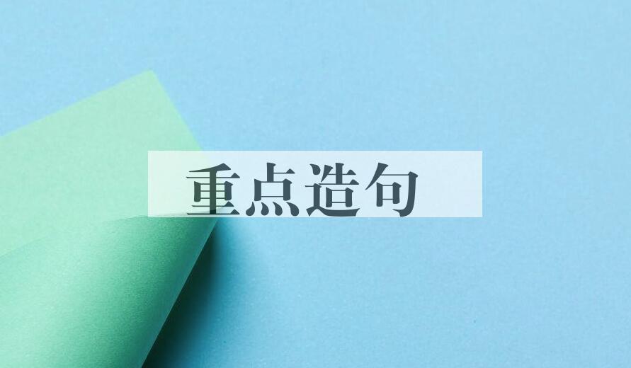 用重点造句