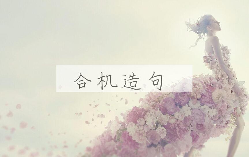 用合机造句