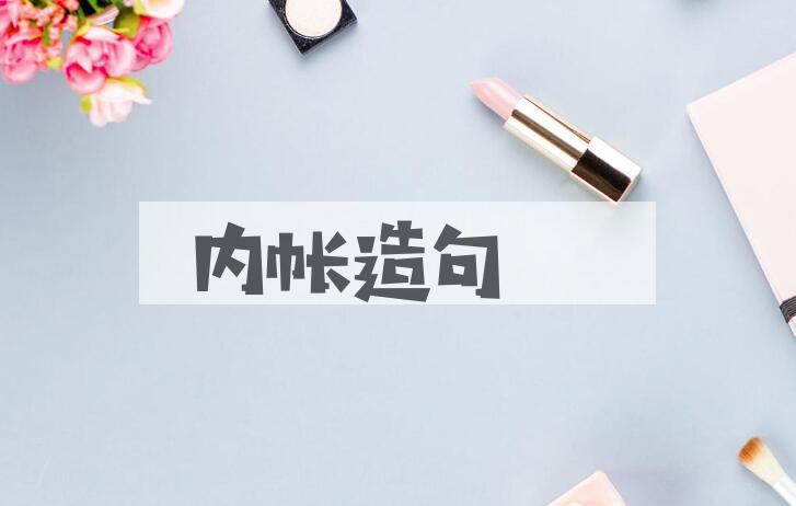 用内帐造句