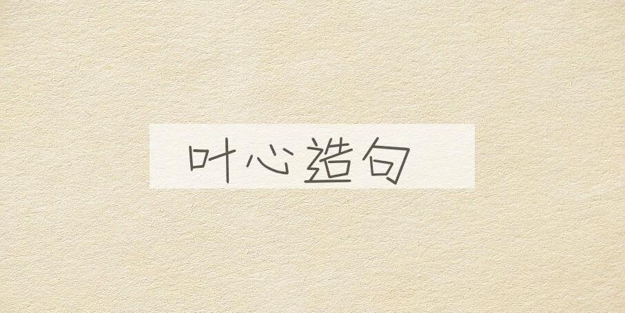 用叶心造句