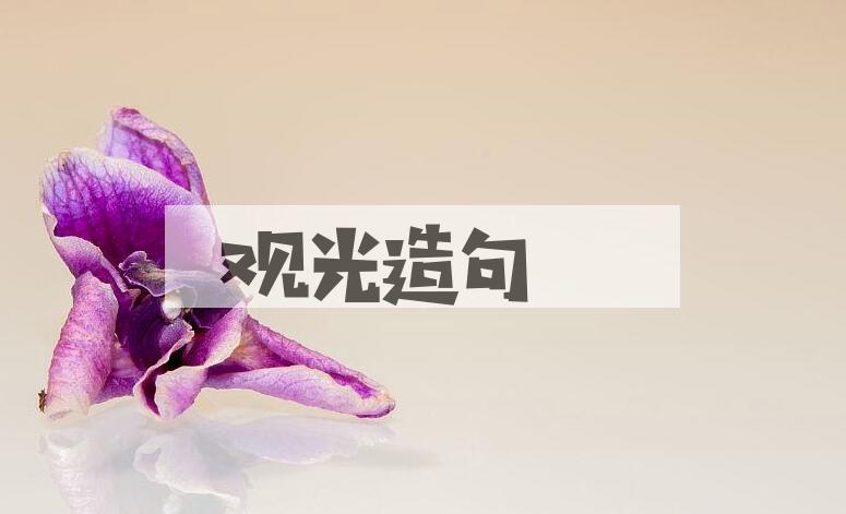 用观光造句