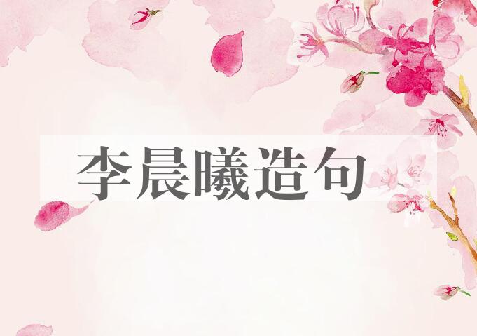 用李晨曦造句