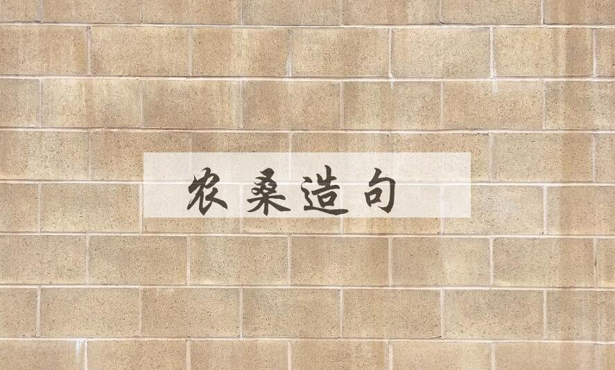 用农桑造句