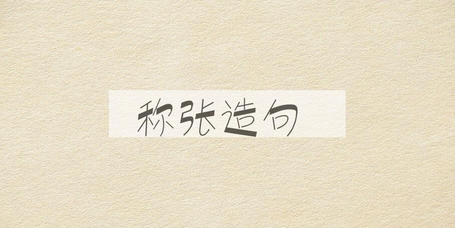 用称张造句