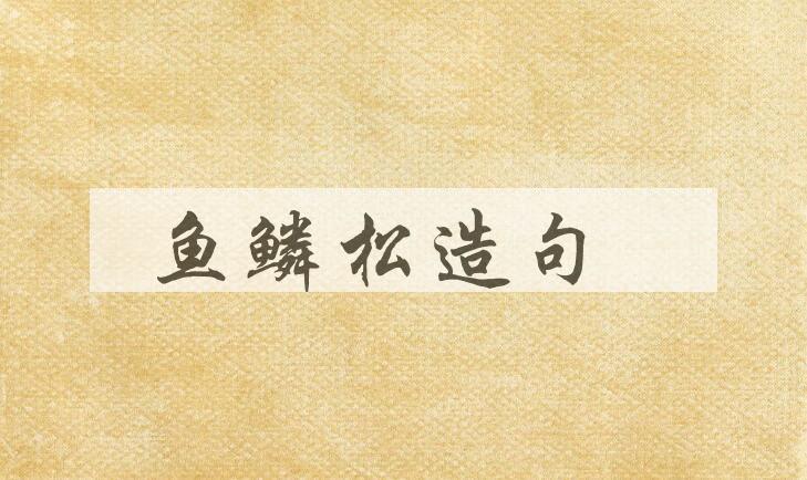 用鱼鳞松造句