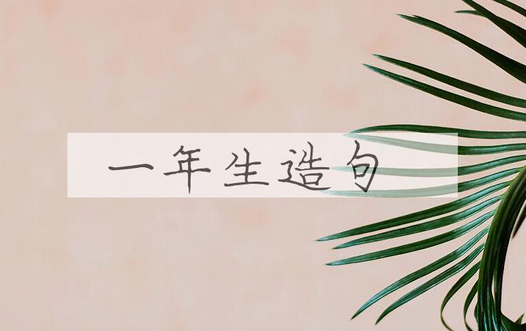 用一年生造句