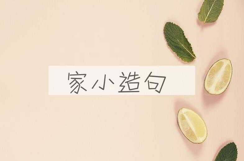 用家小造句