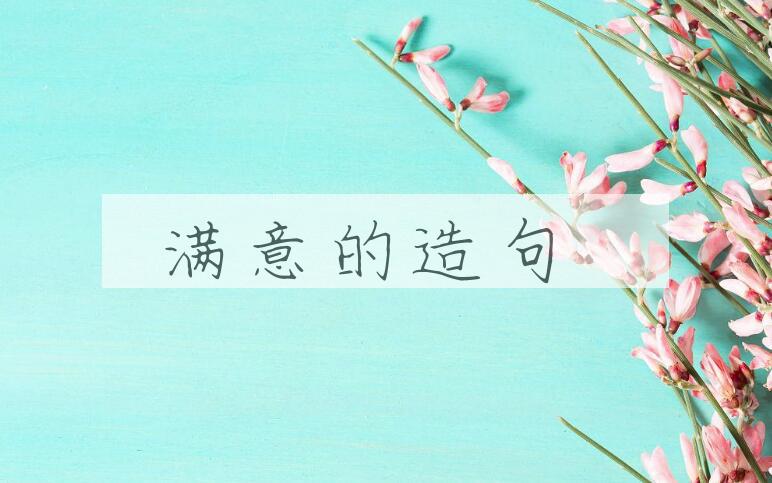 用满意的造句