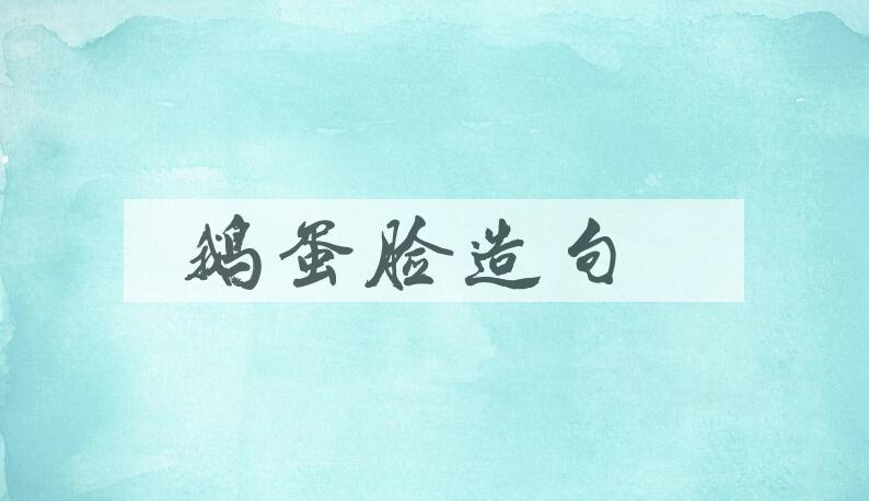 用鹅蛋脸造句