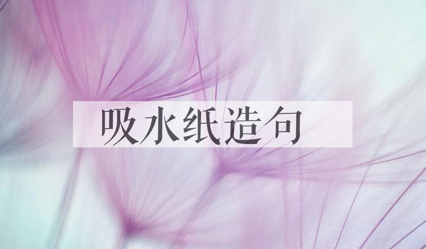 用吸水纸造句