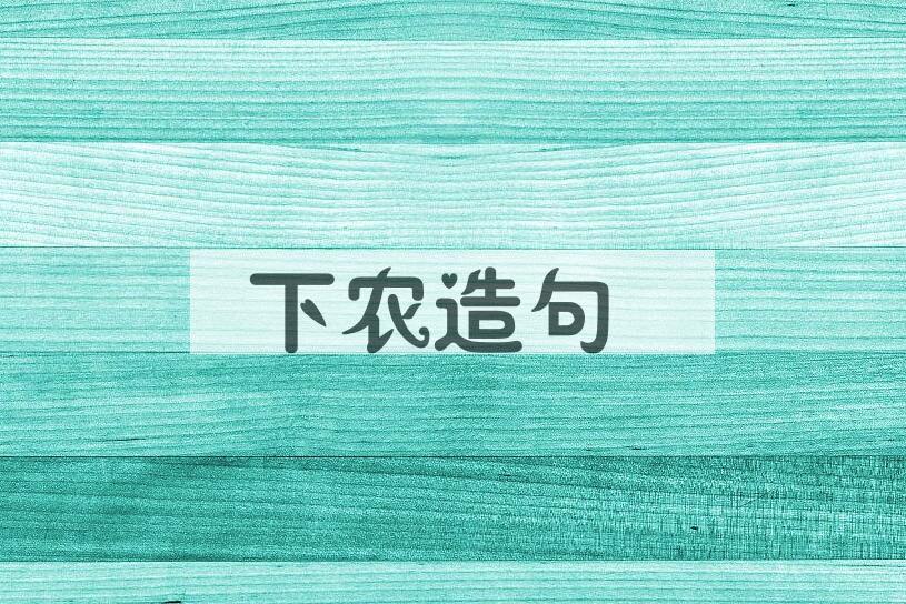 用下农造句