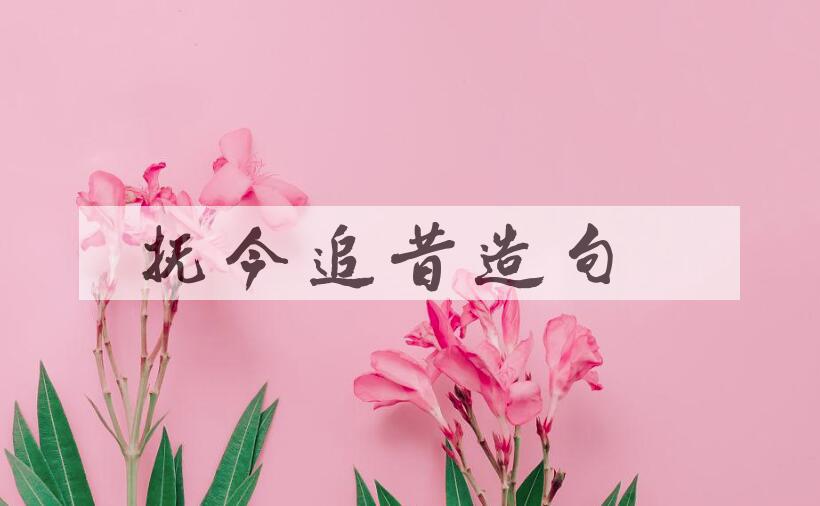 用抚今追昔造句