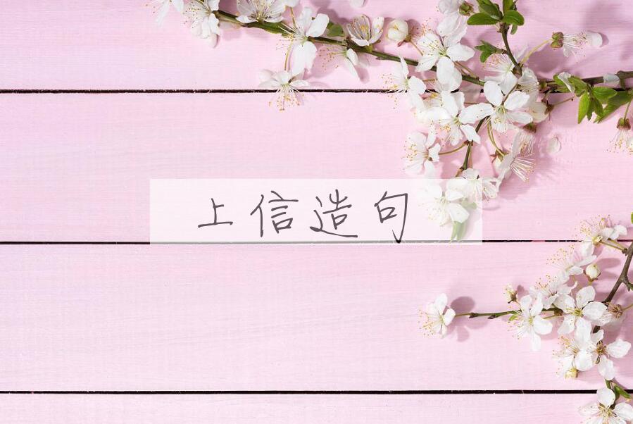用上信造句