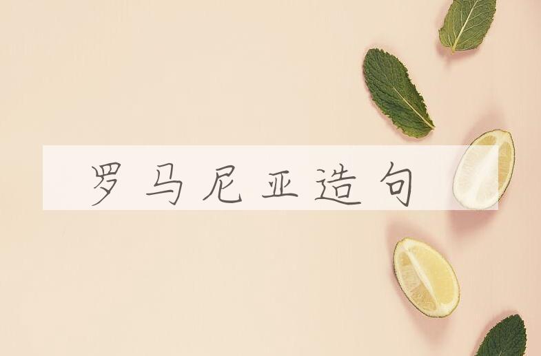 用罗马尼亚造句