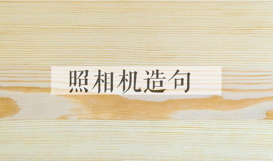 用照相机造句