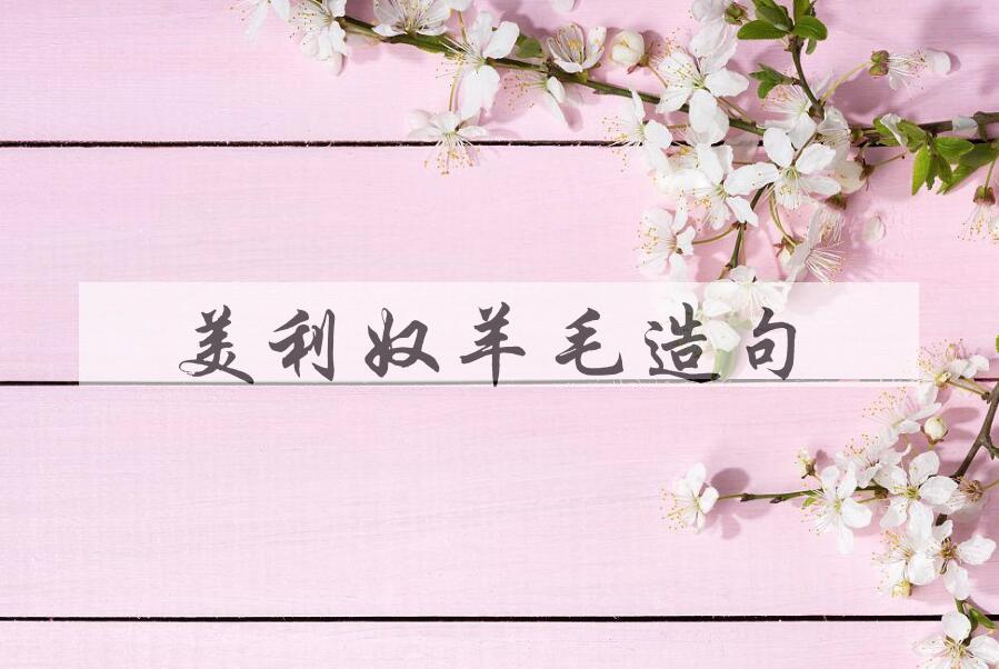 用美利奴羊毛造句