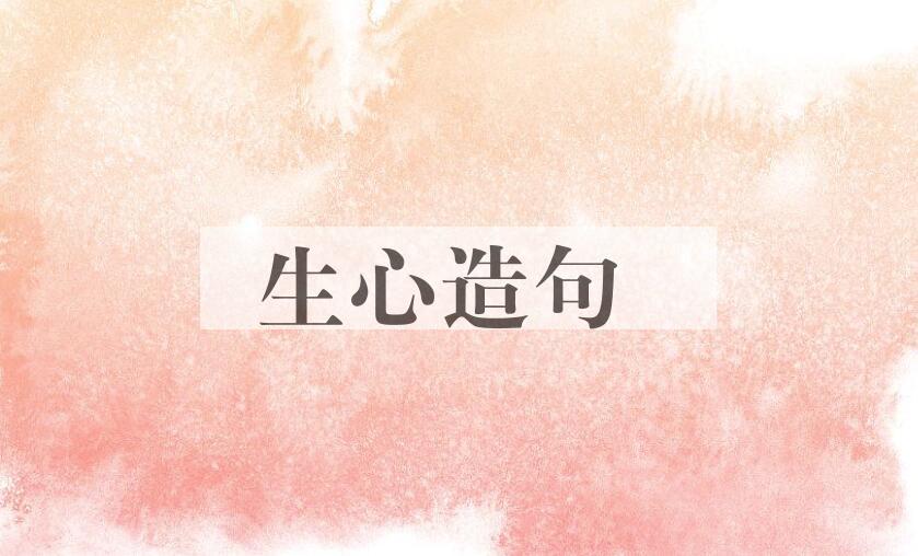 用生心造句