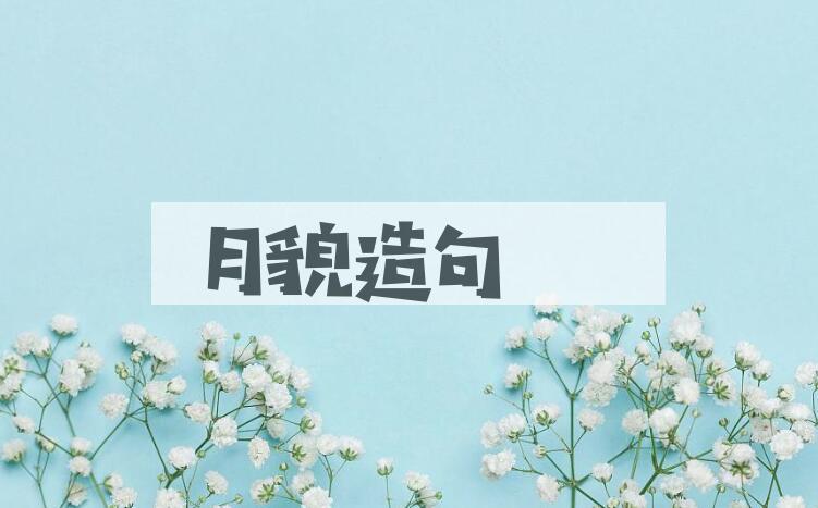 用月貌造句