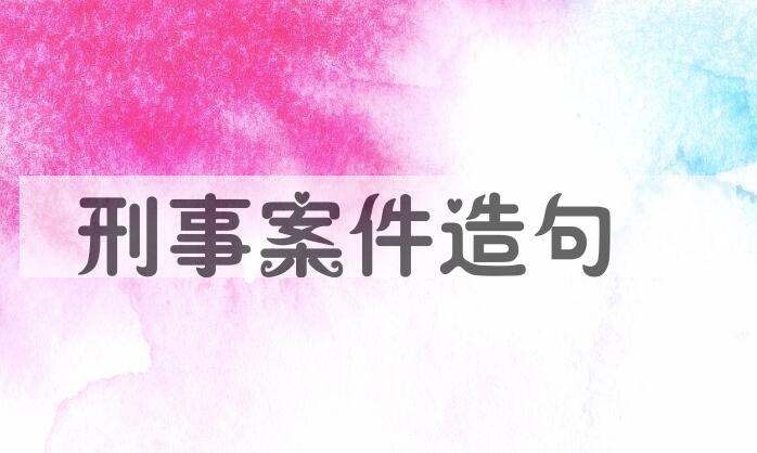 用刑事案件造句