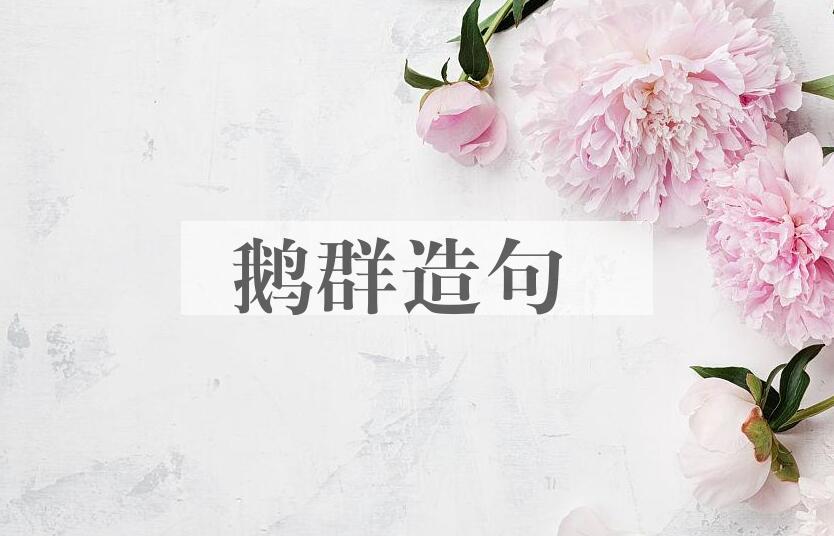 用鹅群造句