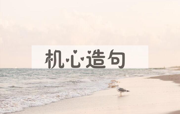 用机心造句