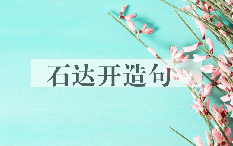 用石达开(1831-1863)造句